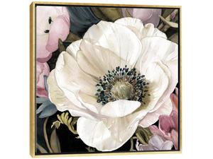 Anemone Study II