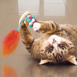 KONG Cat Active Bubble Ball