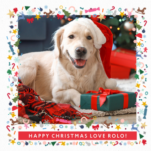 Moonpig Happy Christmas Photo Upload Card