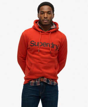 CORE LOGO HOOD