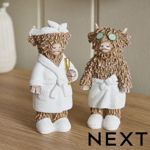 NEXT Set of 2 Hamish Spa Ornaments