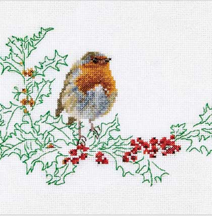 Winter Robin