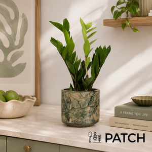 PATCH Cassie in Fractured Green Pot