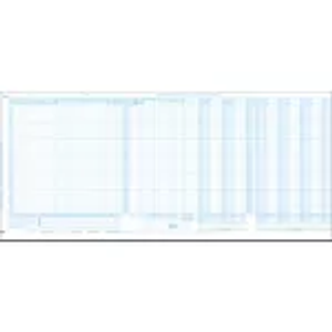 Payroll and Cash Disb Max Columns Journal