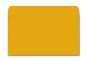 Card File Expansion Envelope, 40 lb Kraft