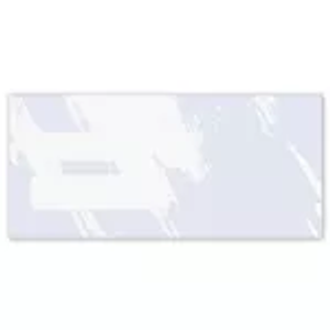 Double Window Confidential Envelope, Comes in 3 Colors