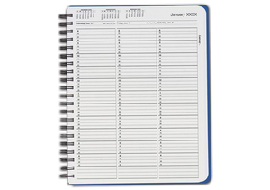 TimeScan 15 Min, 8am-7pm 1 Col Wirebound Book
