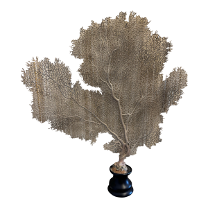 Faux Oversized Coral Sea Fan
