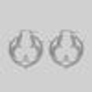 SANCTUM. Gothic Statement Hoops - Silver - Silver / Pair