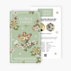 Flower Fairies 2025 - Cornflower Certificate