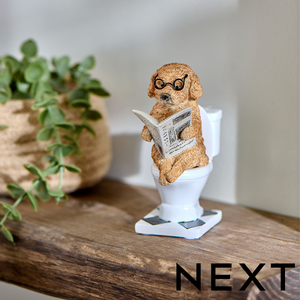 NEXT Cockapoo on the Loo
