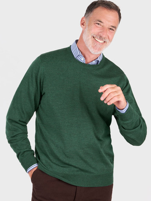 Pine Merino Crew Neck Sweater