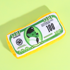 Loose Crate Money Pet Toy