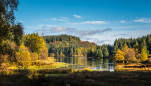 Loch Lomond & Stirling Castle Tour from Glasgow