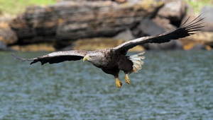  Isle of Mull, Iona & the Highlands 4 Day Tour from Edinburgh