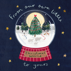 From Our Own Little Christmas World To Yours Card