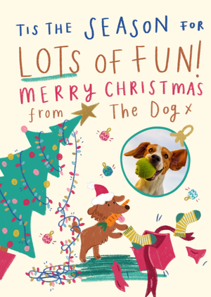 Lots Of Fun Merry Christmas From The Dog Illustrated Photo Upload Dog Card