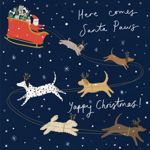 Moonpig Here Comes Santa Paws Yappy Christmas Card