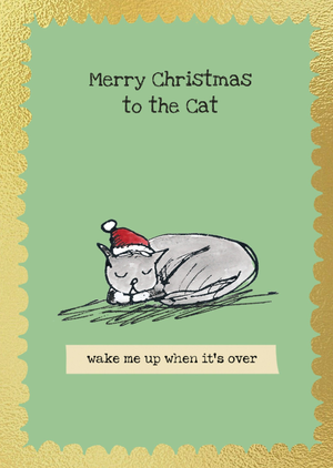 Funny Sleeping Cat Illustration Christmas Card