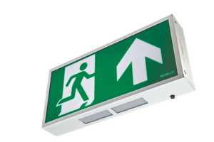 Robus R8EMLP4U-01 4W Exit Box LiFePO4 c/w Up Legend White