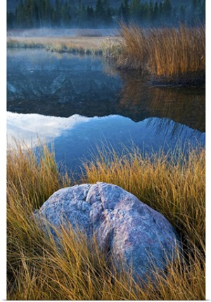 A rural scene with lake and reeds