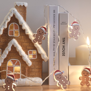 Gingerbread House & Fairy Lights Bundle