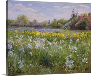 Bonfire and Iris Field, 1993