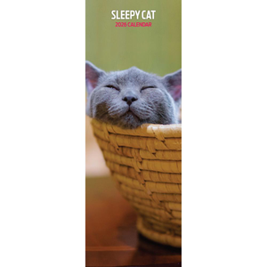 Sleepy Cat Slim Wall Calendar 2026