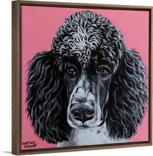 Black Poodle