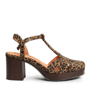 Celeste Leopard - 40 (UK7)