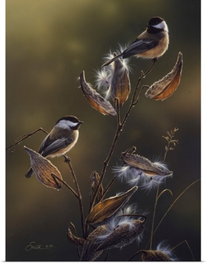 Chickadees In Milkweed