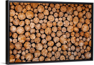 Wood Logs