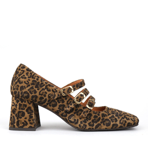 Paris Leopard - 37 (UK4)
