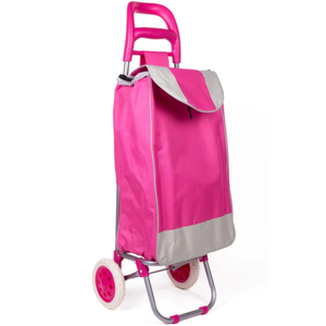 Heavy Duty Shopping Trolley with 2 Wheels – 40L Capacity, 25kg Load, Assorted Colours