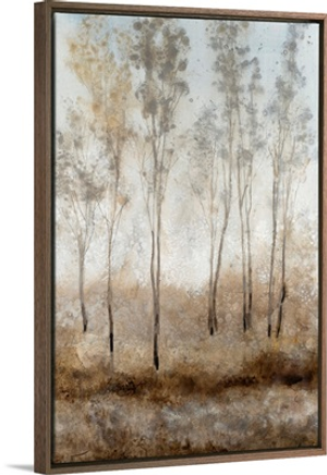 Woodland Shimmering Light II