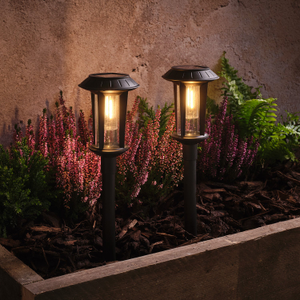 2 Syon Solar Stake Lights