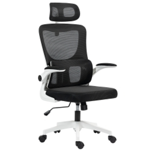 Vinsetto Ergonomic Office Chair, High Back Mesh Computer Desk Chair with Adjustable Headrest and Lumbar Support, Rotatable Armrests, Tilt Function for Home Office, Black