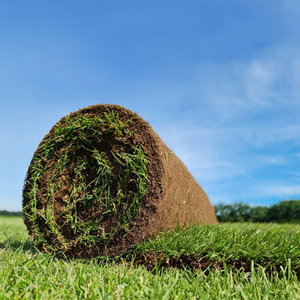Rolawn Medallion Lawn Turf