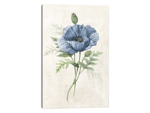Farmhouse Periwinkle IV