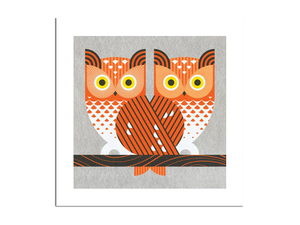 Screech Owls