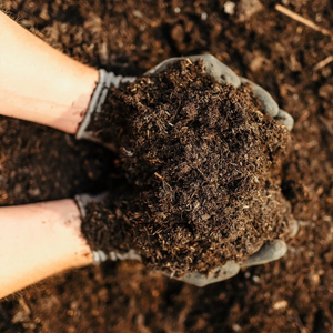 Rolawn Compost Soil Improver 500 Litres