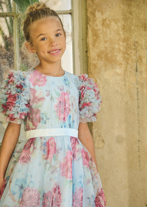 Florence Blue Ruffle Sleeve Mesh Dress