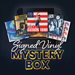 Vinyl Mystery Box Series 2