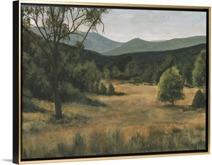 Piedmont Meadow I