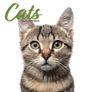 Cat Modern Wall Calendar 2026