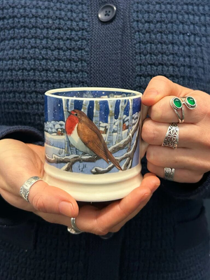 Seconds Midnight Robin Small Mug