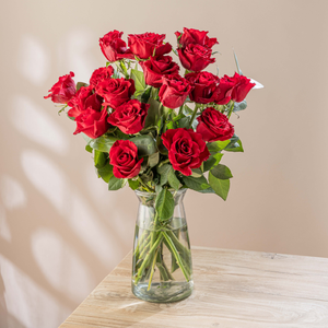 Premium Red Roses