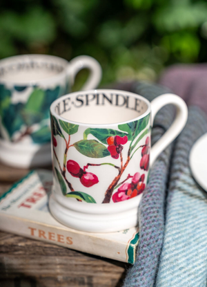Seconds Spindle 1/2 Pint Mug