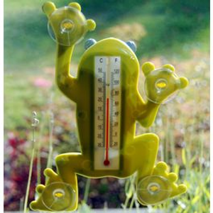 Window Thermometer Frog