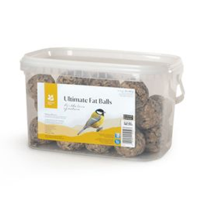 National Trust Ultimate Fat Balls - Tub of 30